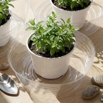 Hoolerry 15 Pcs Plastic Plant Saucer Clear Deep Tray, 10, 12, 14 Inch - size: 10, 12, 14 Inch