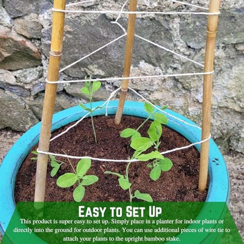 Farm Plastic Supply - Bamboo Garden Stakes - Bambo Sticks, Bamboo Plant Stakes for Outdoor Plants, Plant Support Stakes for Indoor Plants (4 Foot, 5) - style: 4 Foot