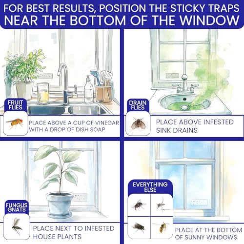 Window Fly Traps Sticky, Fly Paper Indoor for Home, Non-Toxic, 100-Pack - size: 100pk