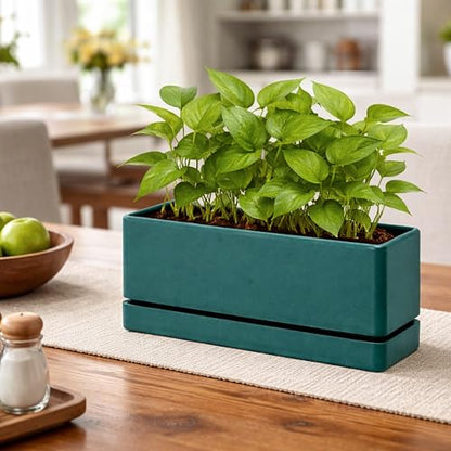 D'vine Dev Rectangular Planter, 12 x 4.5 in, Green, Set of 1, 76-X-C-1 - color: Green