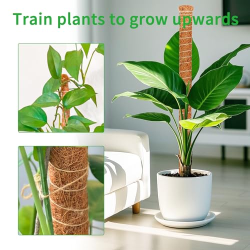 2 Pack 39'' Moss Pole for Monstera, Bendable Coco Coir Plant Support Stakes - size: 2 Pack ( 39-Inch)