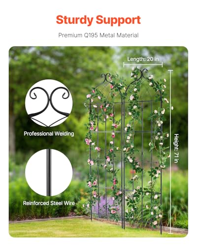 VEVOR 71 x 20 in, 2 Packs Rustproof Metal Garden Flower Trellis, Outdoor Climbing Rose & Cucumber Support, Decorative Clematis Trellis for Courtyards & Lawns - size: 71''Hx 20''W, style: 2Packs