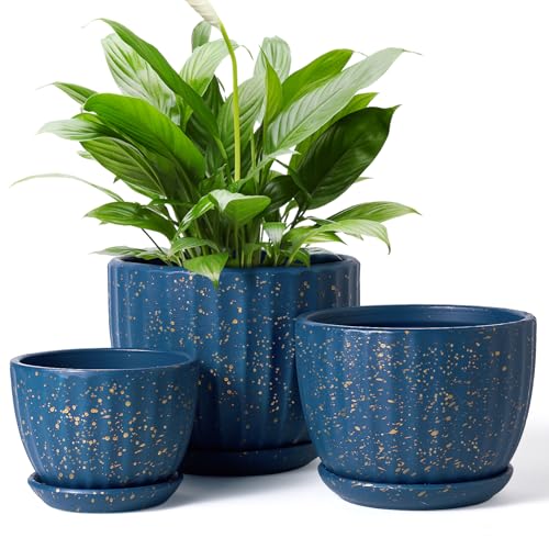 4/5/6 Inches Ceramic Plant Pots with Drainage Holes and Saucer Set of 3 - color: Blue With Dot-big Size
