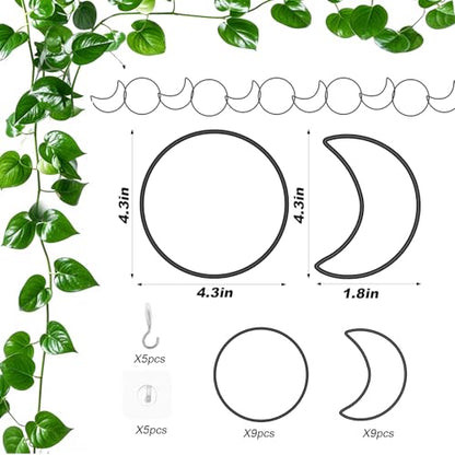 Vodolo 18 Pcs Chain Trellis for Climbing Plants Indoor Outdoor,Wall Plant Vine Climbing Support for Potted Plants,Houseplant Accessorie for Climbing Plants Pertains to Monstera,Pothos,Ivy,Wisteria