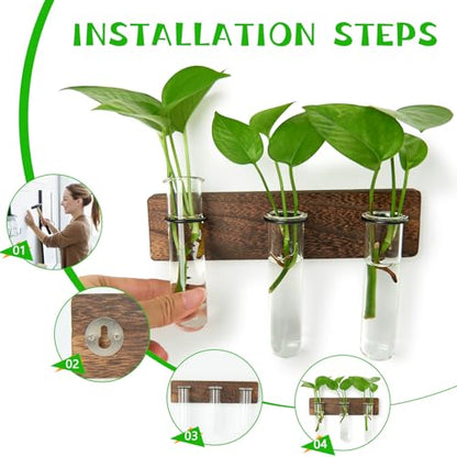 XXXFLOWER Wall Mounted Plant Terrarium with Wooden Stand 3 PCS - size: 9 Glass Tubes with Ring