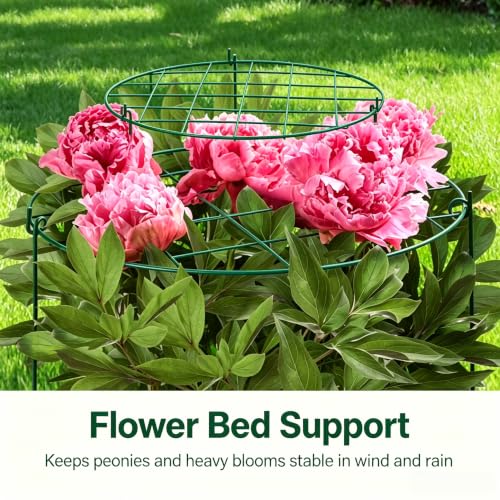 Green Steel Peony Grow‑Thru Grid, 14in Outdoor Plant Support Ring