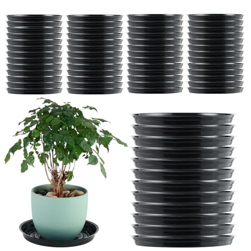 70 Packs 14 Inches Large Plant Saucers for Indoor Outdoor Use Heavy Duty Plastic Plant Plate Dish for Planter Bulk Round Flower Pot Drip Trays to Catch Water 4 to 20 Inch, Black - color: Black/ 70 Packs, size: 14 inches