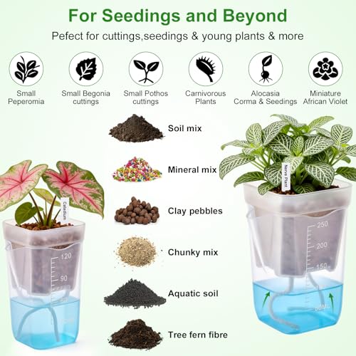 2" Clear Self Watering Pots for Indoor Plants,16PCS Mini Plastic Nursery Planters with Water Level Indicator & Drainage Holes for Propagation,Succulents,Seedling,African Violet,Plant Labels - size: 2 Inch