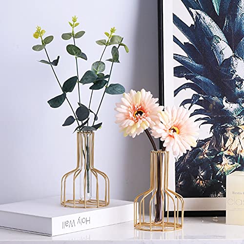 2 Pack IvyMei Luxurious Nordic Gold Table Vase Metal Frame Glass Tube - color: Gold 8