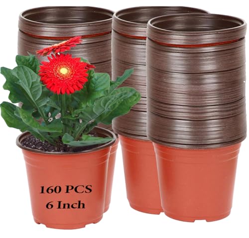 KINJOEK 160 Packs 6 Inch 1/2 Gallon Plant Nursery Pots, Plastic Nursery Flower Plant Pots Container Seed Starting Planter Nursery Pots for Seedlings Transplants Indoor Outdoor, Garden Yard - color: Red, size: 160 Packs 6 Inches Plant Pots