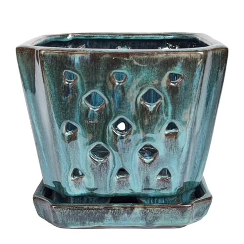 W&W Orchid Pot with Holes and Saucer for Repotting, Green Mix, 7" - color: Green Mix