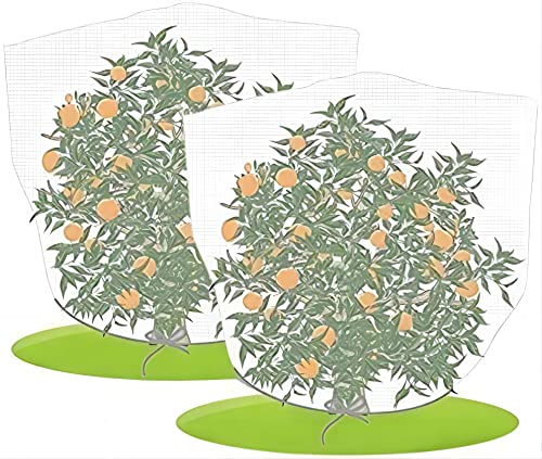 Agfabric Bird Netting 39" Hx39 W Garden Netting Insect Pest Barrier,Plant Cover Fruit Tree Netting Mesh Protection Bag with Drawstring,White,2 Pack - color: 2pack, size: 39"x39"