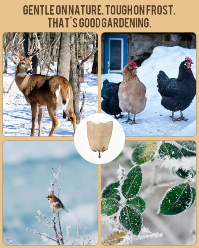 6 Pack Burlap Plant Bags 3 Sizes Drawstring Reusable Winter Covers