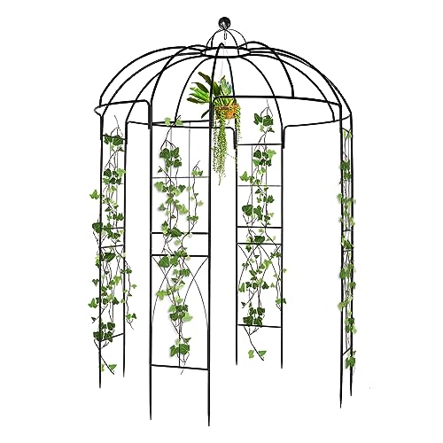 Outvita 9ftx6.8ft Metal Birdcage Garden Arch Arbor