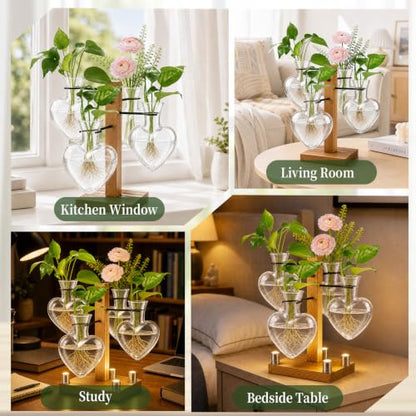 Plant Terrarium Propagation Station with 4 Heart Glass Vases - Transparent - color: Transparent