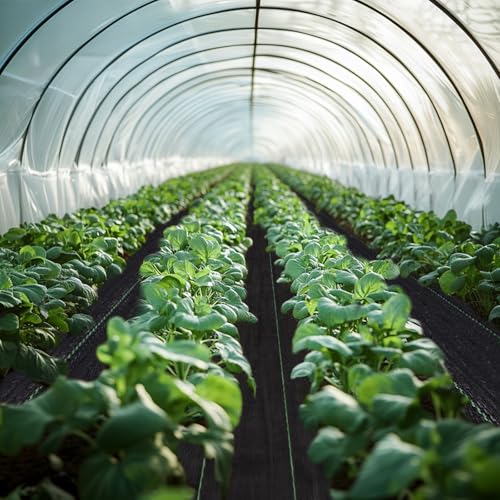 3ft x 250ft Weed Barrier Landscape Fabric Heavy Duty Premium Weed Control Fabric Durable & Eco-Friendly Weed Block Gardening Mat Landscaping Fabric - size: 3ft x 250ft