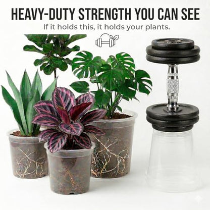 4/5/6/7 Inch Clear Nursery Pots with Drainage Holes 12 Pack - size: 7/6/5/4inch