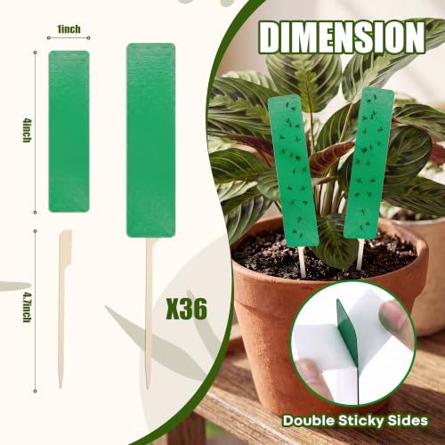 36 Pcs Green Sticky Traps for Plant Gnats, Fungus Gnat Trap (4" x 1") - color: Green