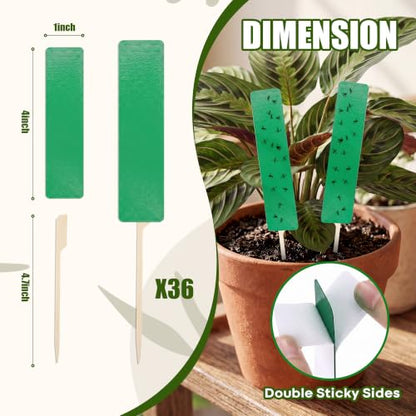 36 Pcs Green Sticky Traps for Plant Gnats, Fungus Gnat Trap (4" x 1") - color: Green