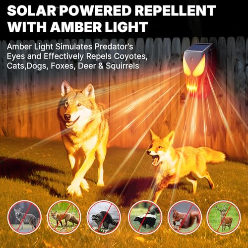 Solar Nocturnal Animal Repeller 1 Pack - Coyote, Raccoon, Fox, Skunk, Deer, Hawk Outdoor Repellent Deterrent - Amber LED & Waterproof Predator Lights for Chicken Coop,Farm,Yard,Garden - Halloween