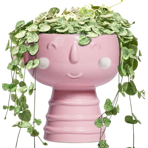 Smiley Face Planter - 7 Inch Ceramic Head Planter for Indoor Outdoor Plants, Cute Succulent Pots with Drainage Hole, Decorative Flower Pots, Home Room Desk Decor, Birthday Gifts, Bright Pink - color: Bright Pink-boy