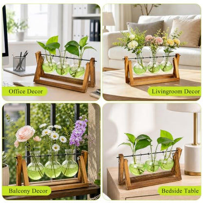 XXXFLOWER Plant Terrarium Kit with Wooden Stand 3 Gradient Green Bulb Vases - color: Green