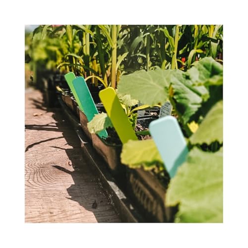 Black Premium Plant Tags 4" x 5/8" - 500 pcs