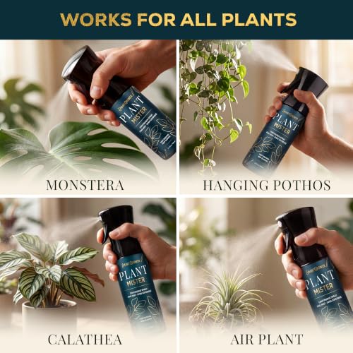 Plant Mister Spray Bottle for Indoor Plants With Plant Care Guide - color: Deep Teal with Gold