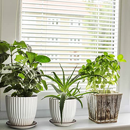 D'vine Dev 2-Pack Stoneware Planter Pots, 4.5/5.8 in, Ivory, 99-D-1 - color: Ivory