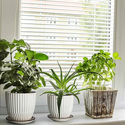 D'vine Dev 2-Pack Stoneware Planter Pots, 4.5/5.8 in, Ivory, 99-D-1 - color: Ivory