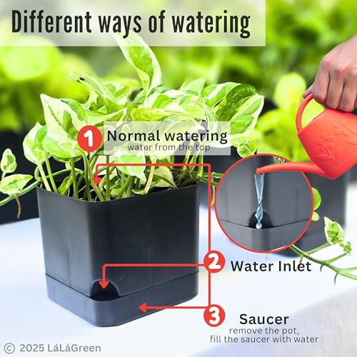 LaLaGreen Planters for Indoor Plants (7 Pack) Rectangular Flower Boxes - color: Black