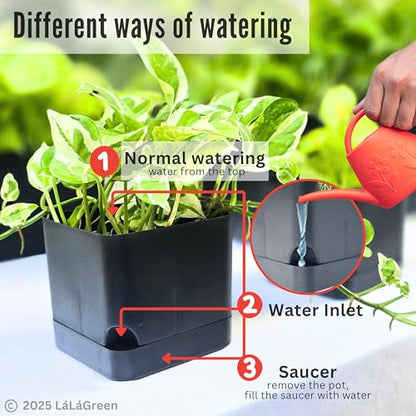 LaLaGreen Planters for Indoor Plants (7 Pack) Rectangular Flower Boxes - color: Black