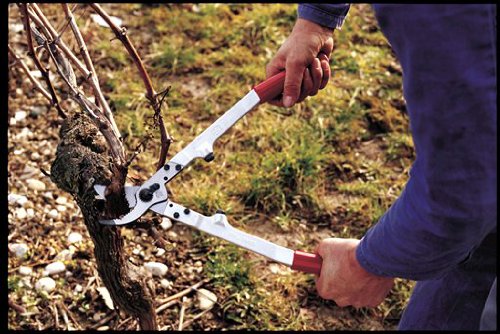FELCO F20 Swiss Made Loppers for Gardening – 16.9" Heavy Duty Loppers Tree Trimming | Tree Branch Cutters | Tree Trimmer Tool with Replaceable Carbon Steel Blade, Forged Handles Made for Life - size: 16.9 in