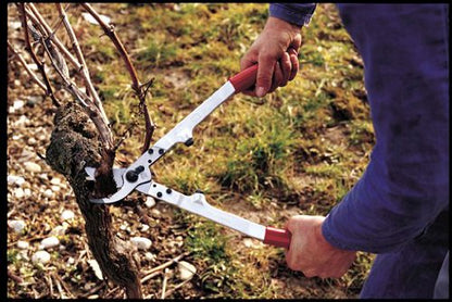 FELCO F20 Swiss Made Loppers for Gardening – 16.9" Heavy Duty Loppers Tree Trimming | Tree Branch Cutters | Tree Trimmer Tool with Replaceable Carbon Steel Blade, Forged Handles Made for Life - size: 16.9 in