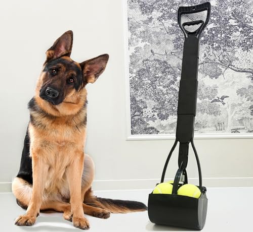 2-Pack Pooper Scooper for Large Small Dogs Heavy Duty, 32" Long Handle Poop Scoops for Yard, Grass, Gravel, Dog Poop Grabber with High Strength Material and Durable Spring（Green&Black） - size: 2 Pieces(32-inch length)