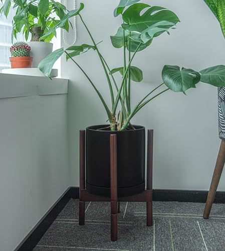 Phoenix Vine 10 Inch Plastic Plant Saucer Water Drip Tray, Heavy Sturdy Round Plant Drainage Tray for Indoors Outdoor, Set of 2, Matte Black, 21-TY-10B-2 - size: 10"