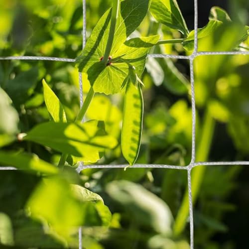 Polyester Trellis Netting Garden Plant Climbing Support Mesh for Vine Vegetables and Flowers