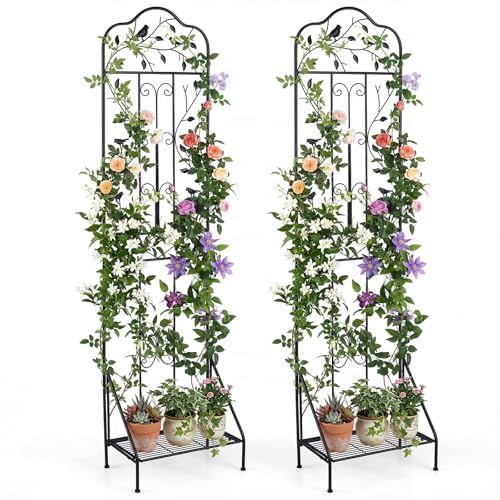 Giantex Metal Garden Trellis for Climbing Plants Set 2, 75" x 20" Outdoor Rose Trellis w/Foldable Bottom, Freestanding Plant Support for Vines, Flowers, Vegetables & Fruits, Patio Lawn Garden, Black - color: Black
