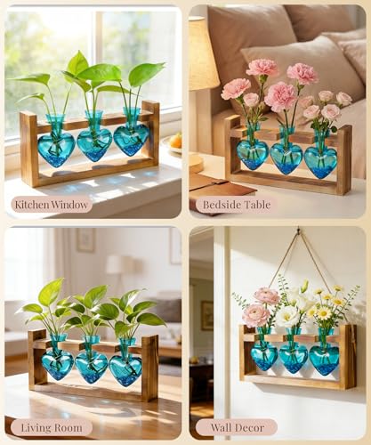 Nacome Plant Terrarium with Wooden Stand, 3 Heart Bulb Glass Vases - color: Blue