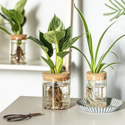 Glass Propagation Stations for Plants -Desktop Flower Vases,Propagation Flower Vases Set – 6 Large & 6 Small for Plant Cuttings，for Living Room, Bedroom Decoration,Home,Office Decor (12)