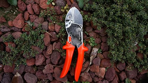 LeafLux 8" Professional Heavy Duty Anvil Pruning Shears with SK-5 Blades, Garden Shears for Dry Stems and Small Branches, Gardening Scissors, Clippers for Wood, Plastic, Rubber, Leather | LFXP1108 - color: 1108