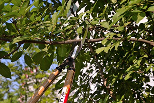 KAKURI Japanese Loppers Hedge Shears for Gardening 26", Long Handled Pruning Shears for Trimming and Pruning, Heavy Duty Long Handle, Made in Japan