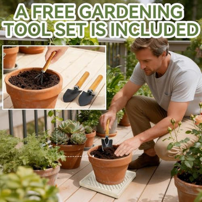 14.5" SquarePlant Caddy Beige with Hidden Wheels & Garden Tools Set - size: 14.56 Inch - Beige (1 Pcs)