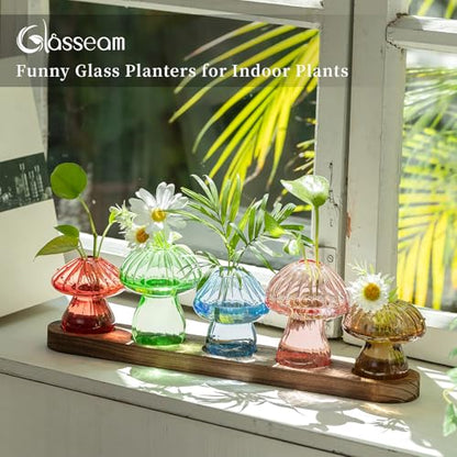 Glasseam Mushroom Glass Plant Propagation Station with Wooden Stand 5Pcs - color: Multicolor, size: 5Pcs