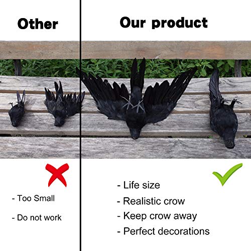 Etistta 2-Pack Realistic Crows Lifesize Extra Large Handmade Black Feathered Crow for Halloween Decorations Birds, L (13 inch+12 inch) - size: L (13in+12in)