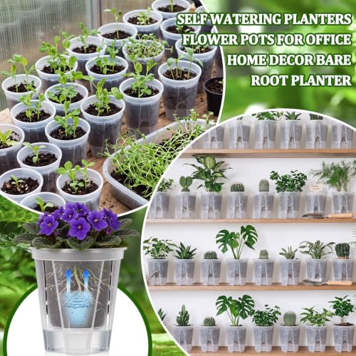 24 Pcs 4.72" Self Watering Pots for Indoor, Clear - color: Clear