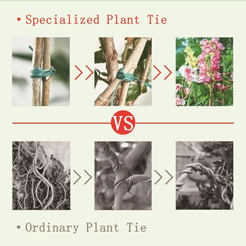Twist Tie, 328 Feet (100m), green cable ties with Cutter, Garden Plant Ties Reusable, Green Twist Ties for plants Gardening Tomatoes Tie garden ties for plants,garden twist ties flowers Climbing - color: Green