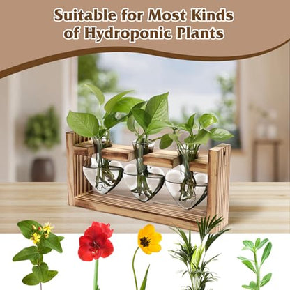 KOCASO Plant Propagation Station, Plant Terrarium with 3 Heart Shaped Vases & Wooden Stand, Desktop Glass Vase for Hydroponic Plants, Home Office Garden Decor Planter Gift for Plant Lovers