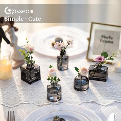 Glasseam Small Vases for Flowers, Mini Smoke Gray Glass Bud Vases Set of 5 - color: Gray, size: 5Pcs- Mini Vases