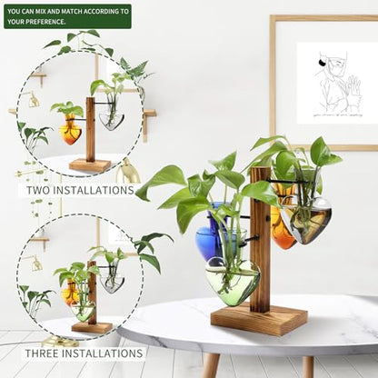 Plant Terrarium Propagation Stations with Wooden Stand - color: Color-02